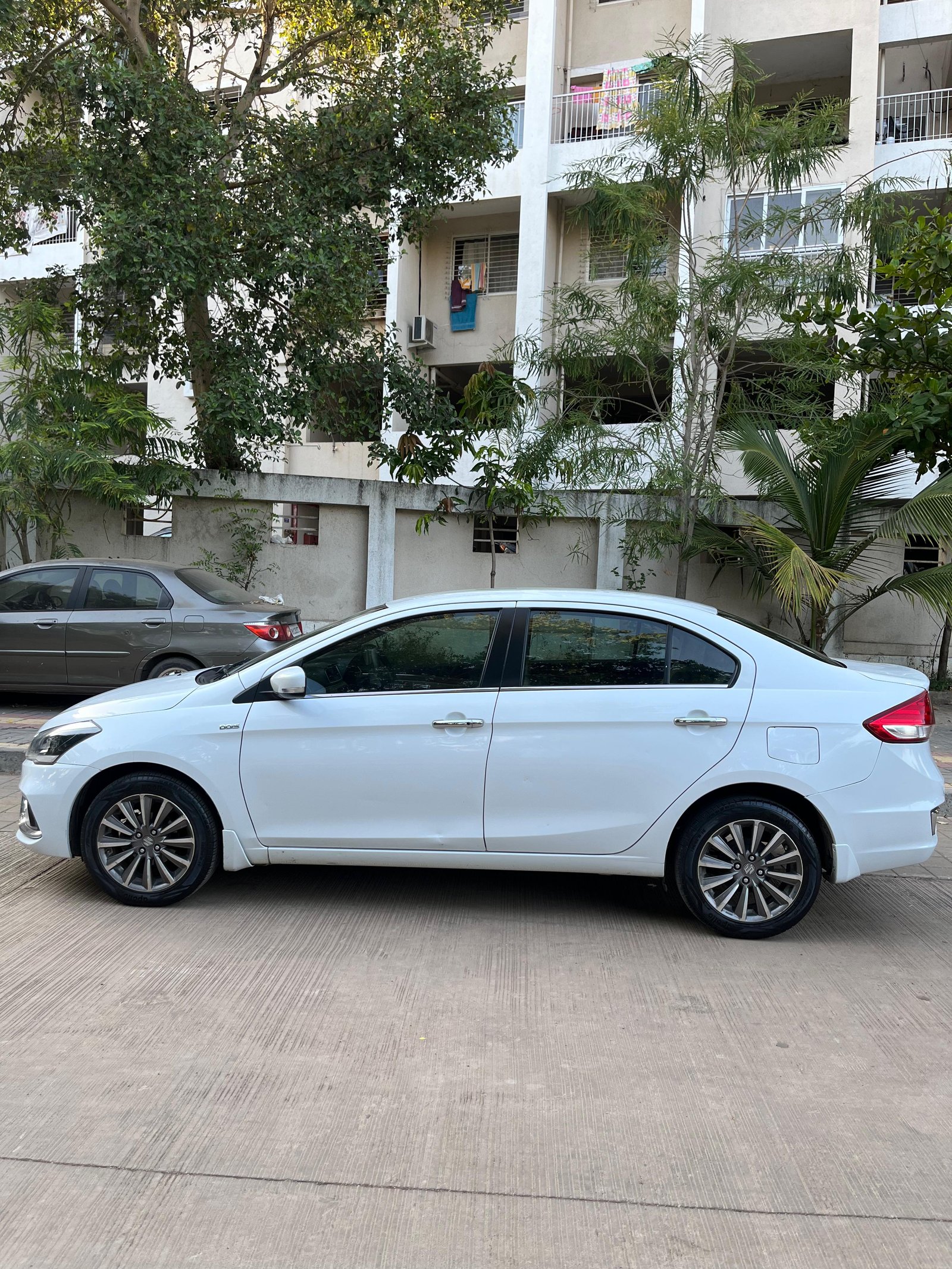 Ciaz Alpha 