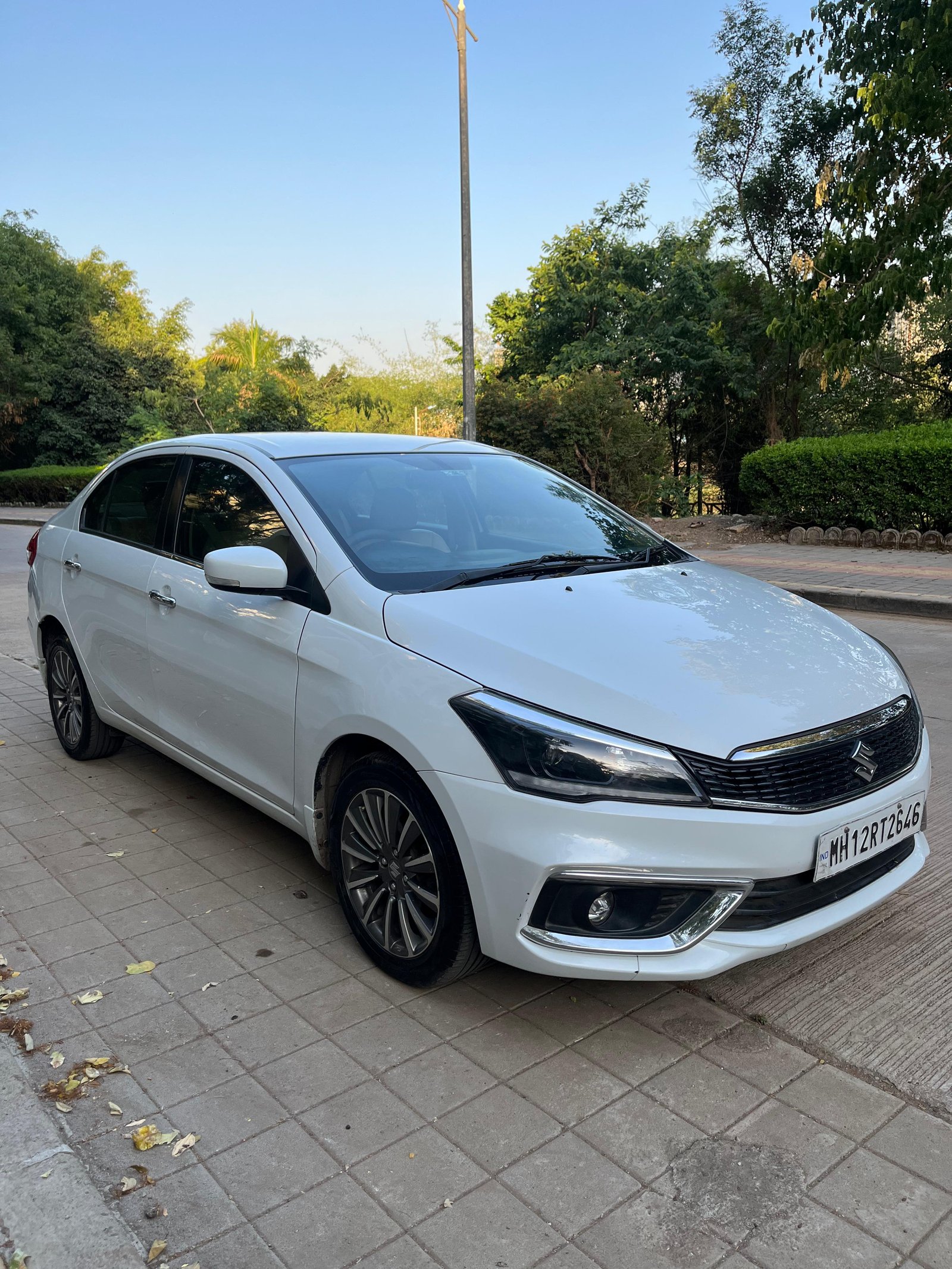 Ciaz Alpha 